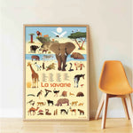 Discovery Poster Savannah XXL