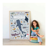 Discovery Poster Sharks XXL
