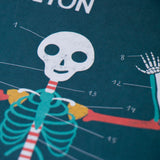 Game - Inside Me: A Game to Discover the Human Body