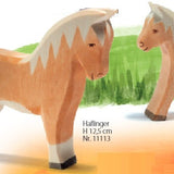 Horse - Haflinger Colt