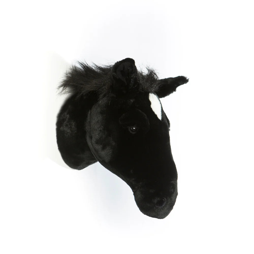 Black Horse Peter Head Large - Wild & Soft