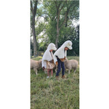 Disguise, Sheep
