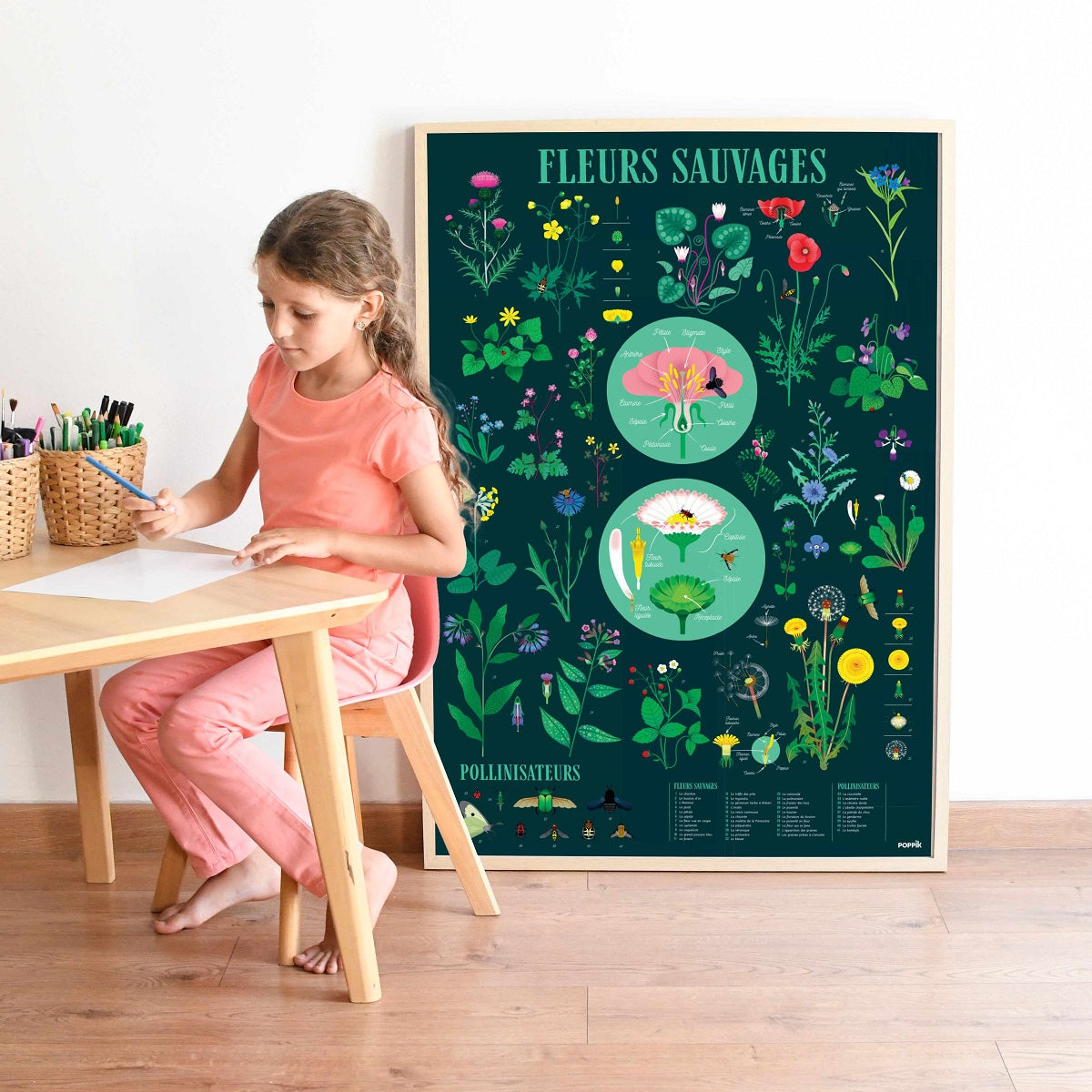 Discovery Poster Flowers