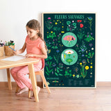 Discovery Poster Flowers