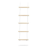 Hanging Gym - Climbing Ladder