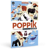 Discovery Poster Animals of the World
