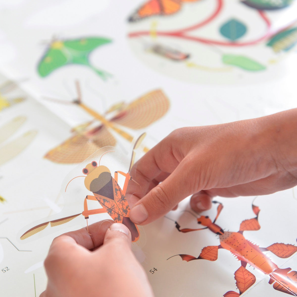 Discovery Poster Insects