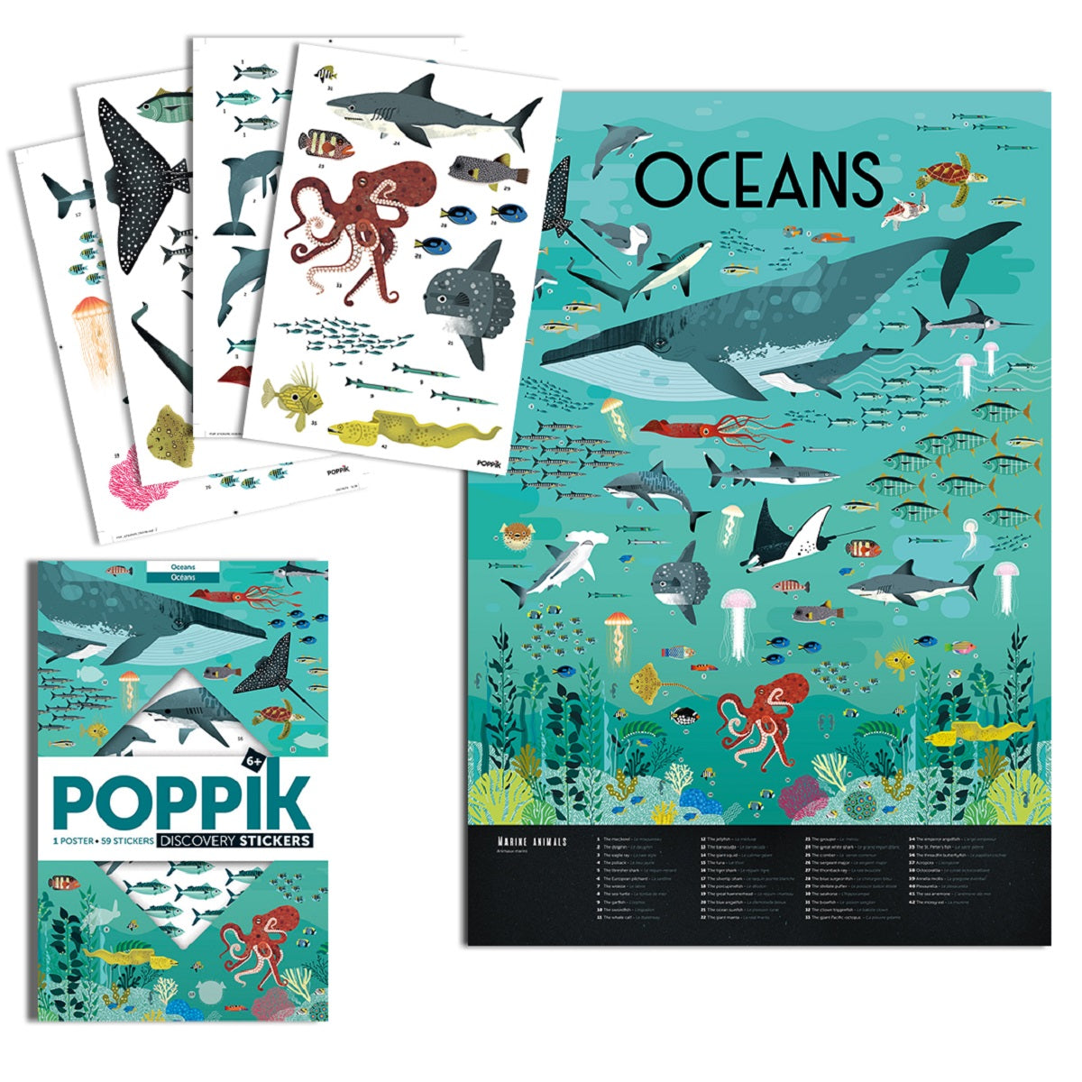Discovery Poster Oceans XXL