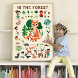 Discovery Poster Forest XXL