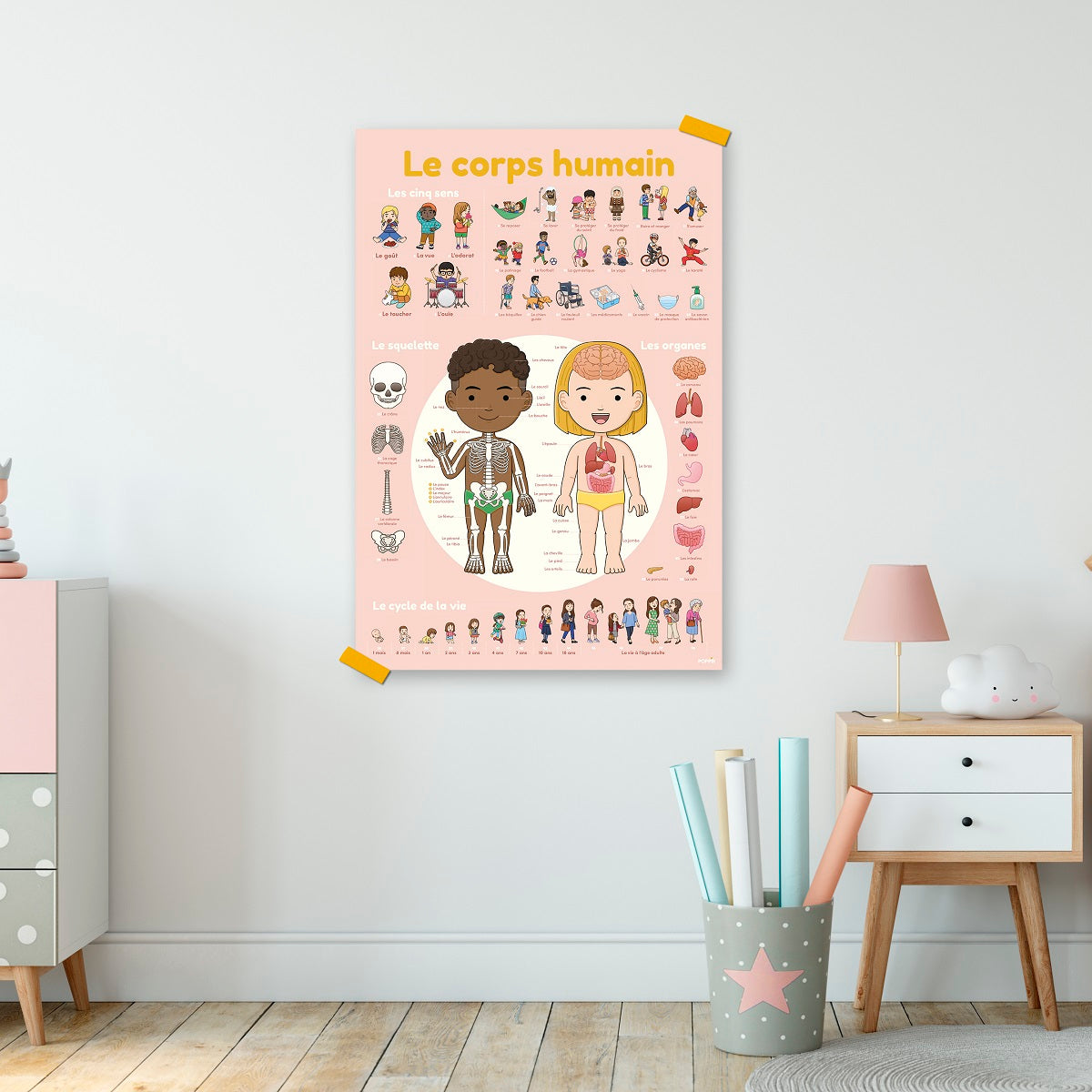 Discovery Poster Human Body XXL