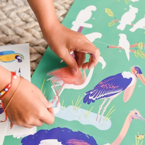 Discovery Poster Birds