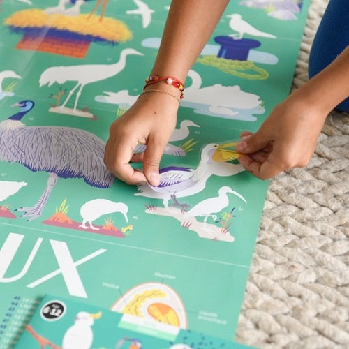 Discovery Poster Birds