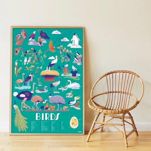 Discovery Poster Birds