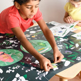 Discovery Poster Flowers