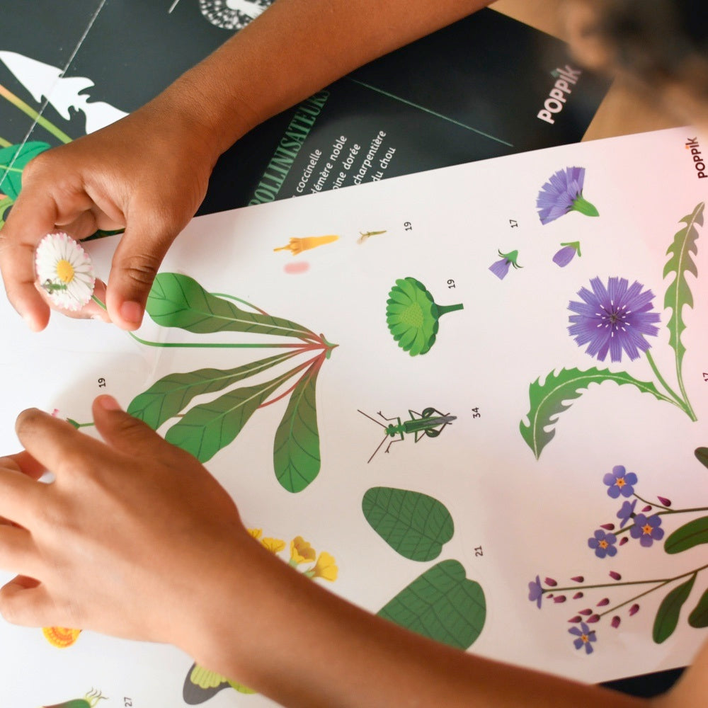 Discovery Poster Flowers
