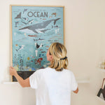 Discovery Poster Oceans XXL