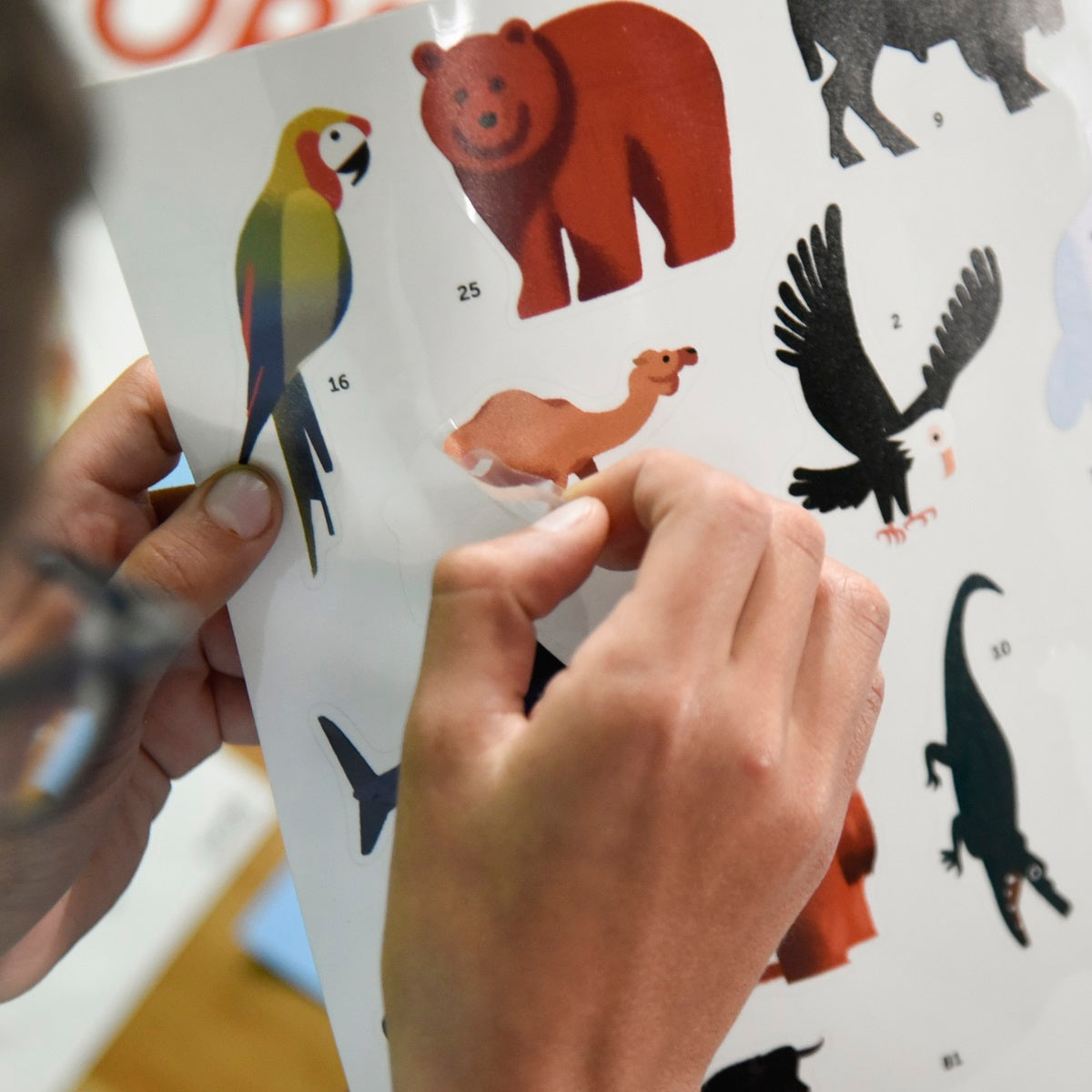 Discovery Poster Animals of the World