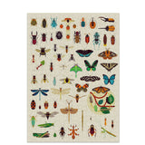 Discovery Puzzle Insects 500pcs