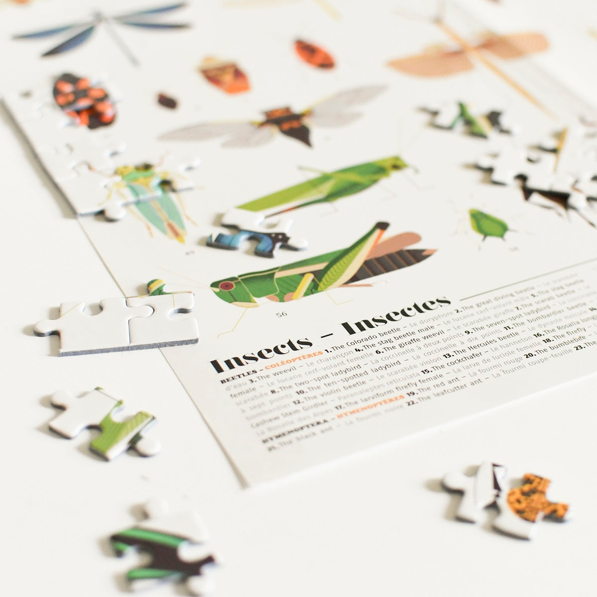 Discovery Puzzle Insects 500pcs