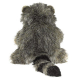 Baby Raccoon