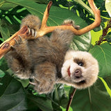 Baby Sloth
