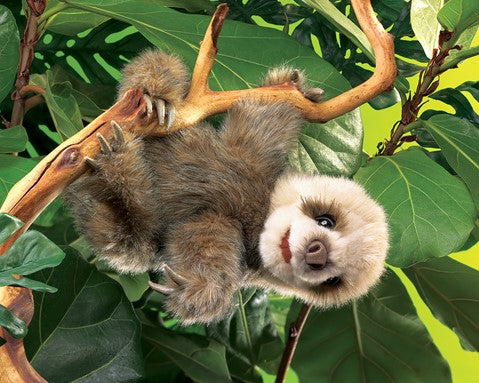 Baby Sloth