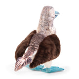 Blue Footed Booby Puppet