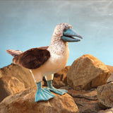 Blue Footed Booby Puppet