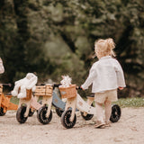 Tiny Tot Plus Bike - White