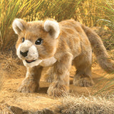 African Lion Cub