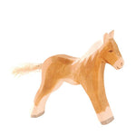 Horse - Haflinger Colt
