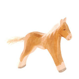 Horse - Haflinger Colt