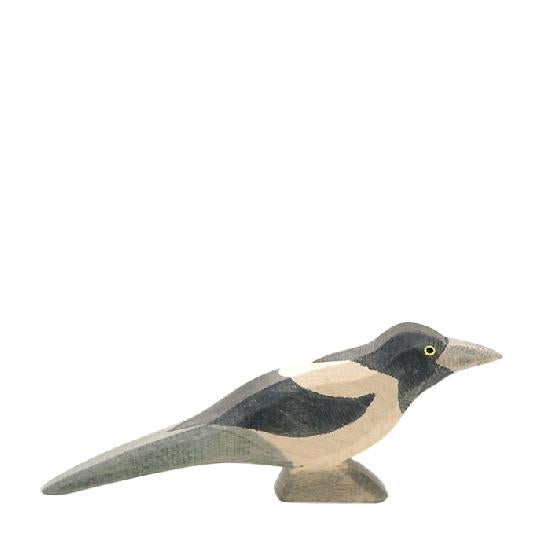 Bird - Magpie