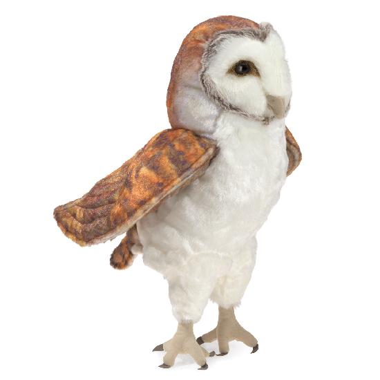 Barn Owl