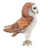 Barn Owl