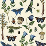 Micropuzzle - Biodiversity Mix