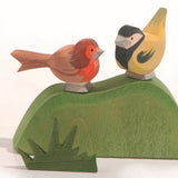 Bird - Robin