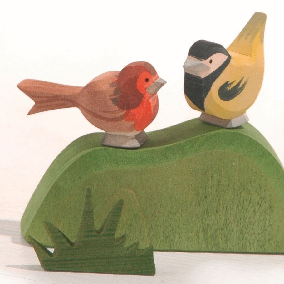 Bird - Robin