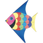Outdoor - Kite, Fish
