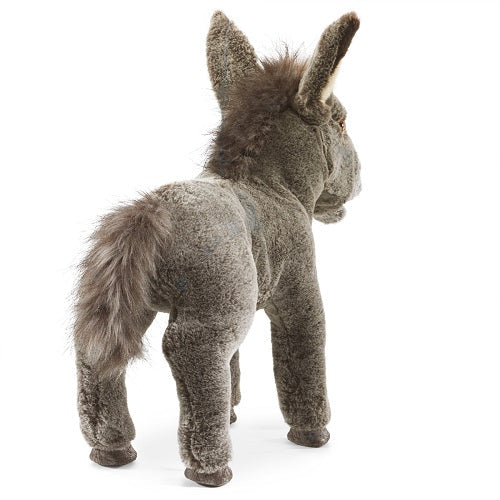 Baby Donkey