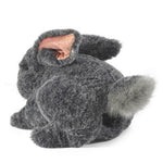 Gray Bunny Rabbit