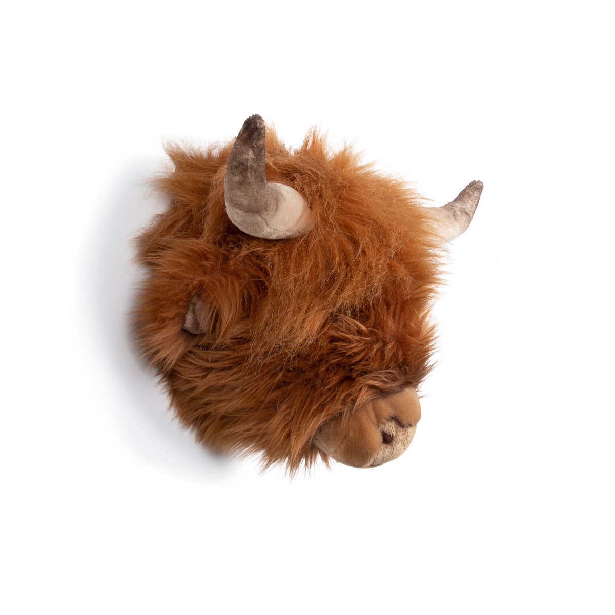 Head Large Highland Cow, Nicolas PRE-ORDER FOR LATE JUNE
