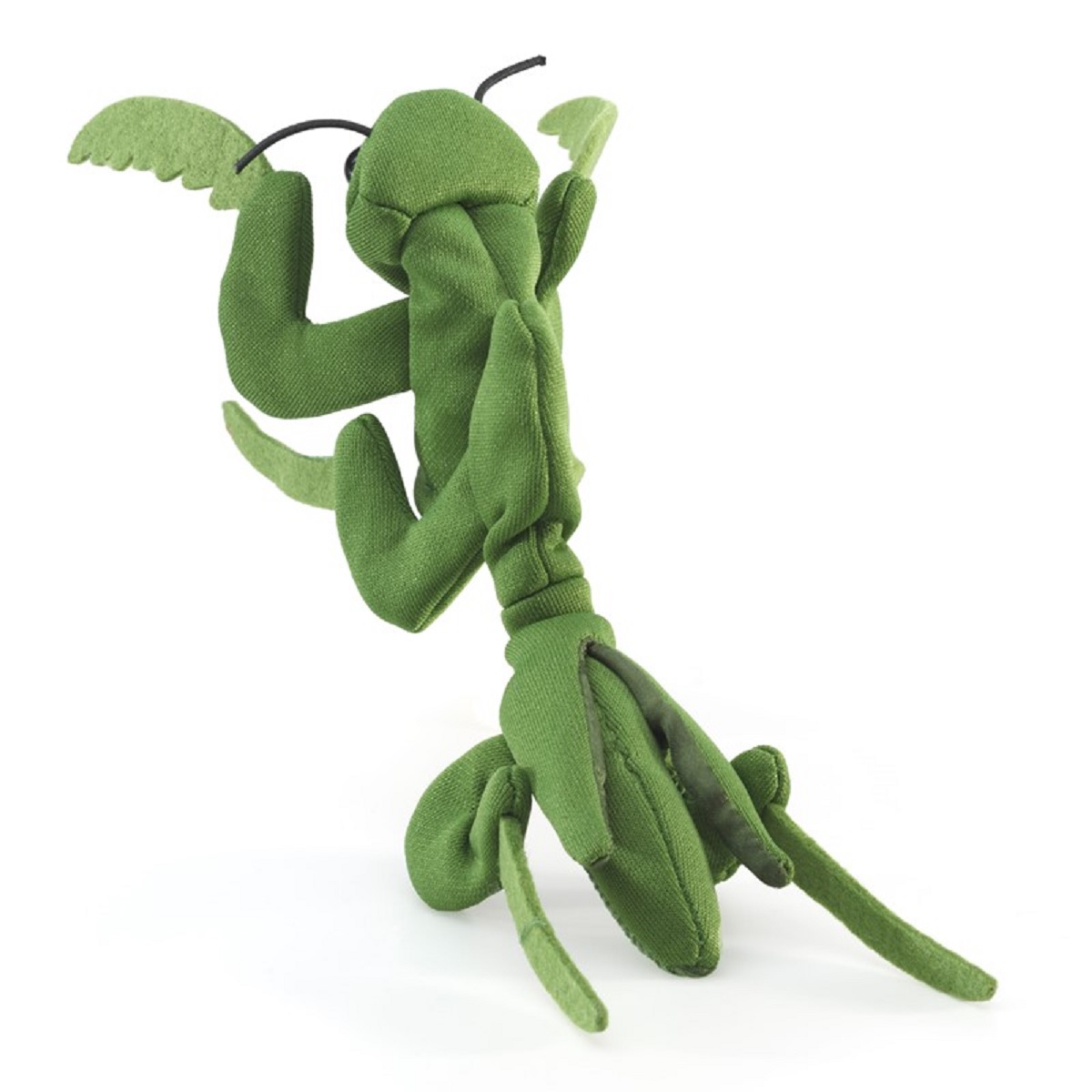 Mini Praying Mantis 