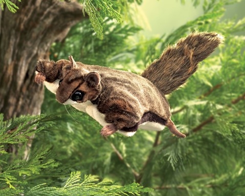 Flying Squirrel  