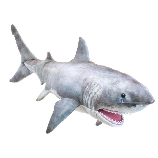 Great White Shark  