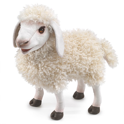 Woolly Sheep  