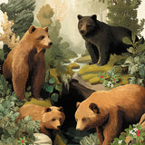 Canadian Bears Canada Nature 520 pc Puzzle
