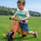 Tiny Tot PLUS Bike - Bamboo