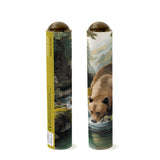 Kaleidoscope Grizzly Bear Canada Nature