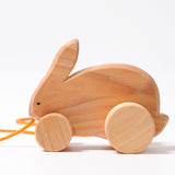 Pull Along Bobbing Rabbit